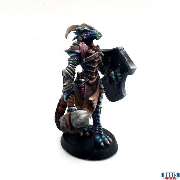 Tarmiczi, Female Dragonborn Paladin 30147