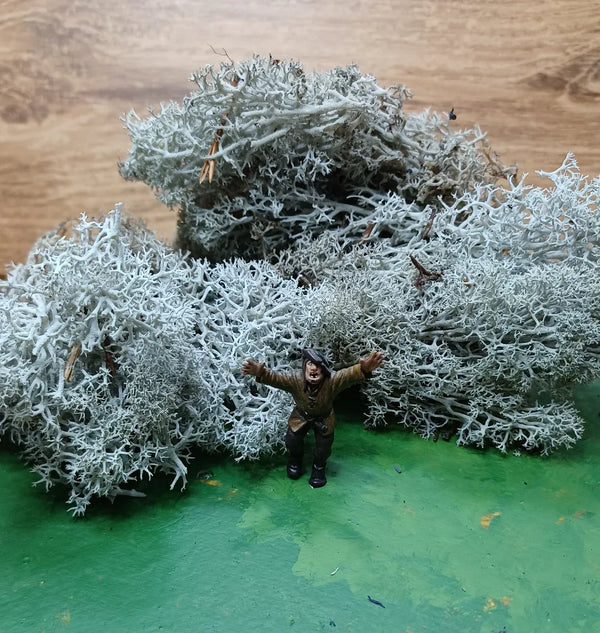 Icelandic Moss Grey 20 grams