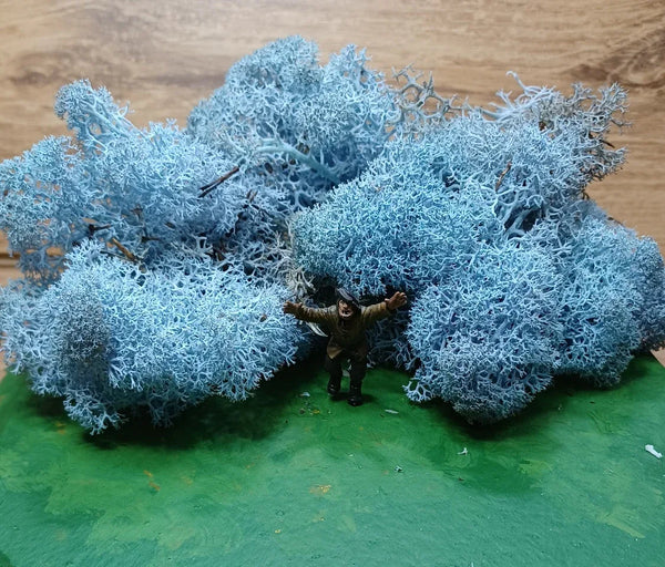Icelandic Moss Ice Blue 20 grams