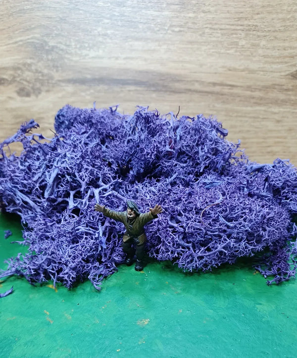Icelandic Moss Purple 20 grams