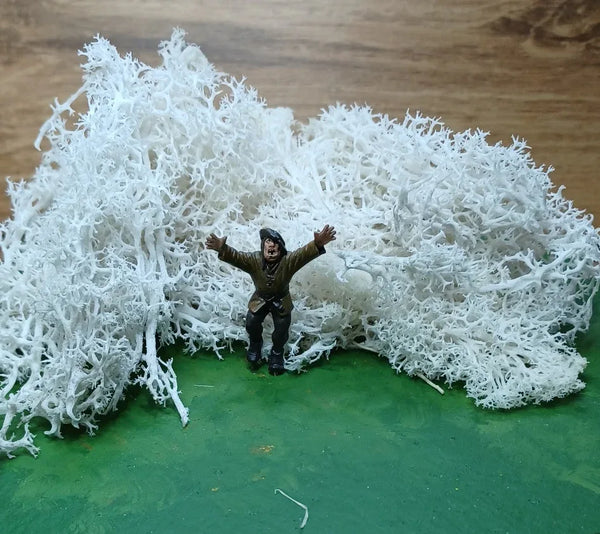 Icelandic Moss Off-White 20 grams