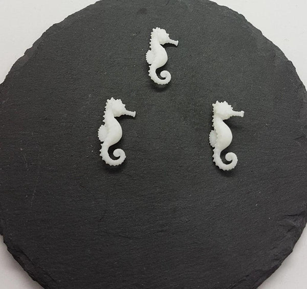 Seahorses (3)